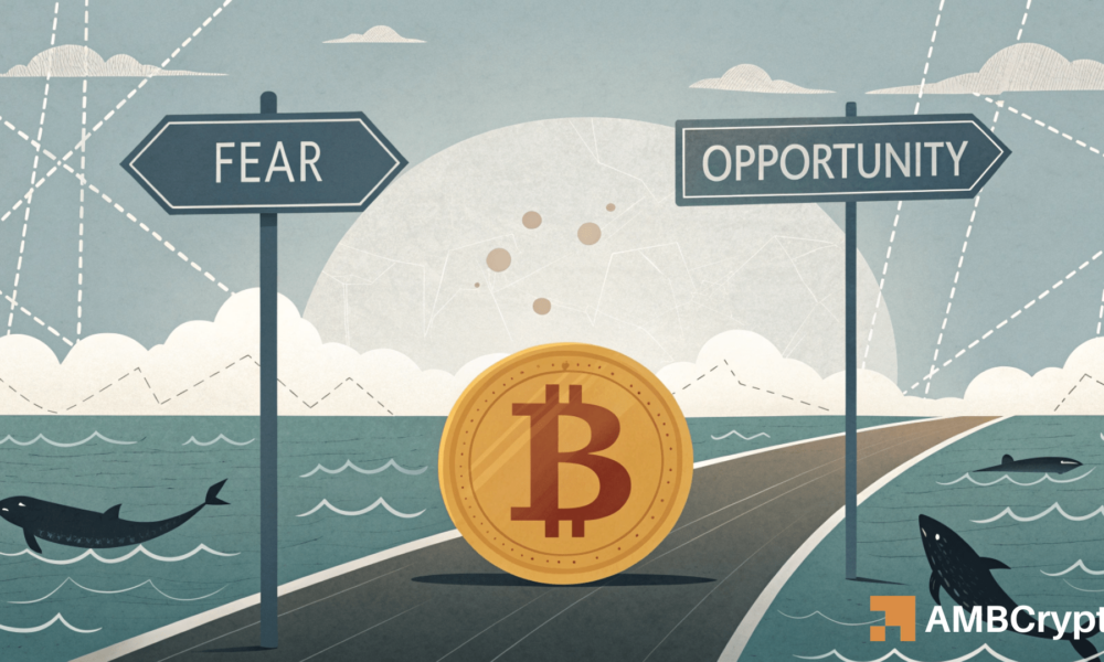 比特币[BTC]短期持有人目前显示出独特的入口区